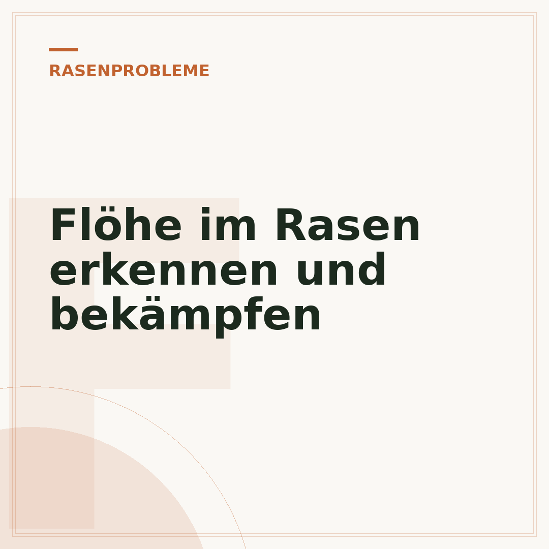 Flöhe im Rasen erkennen und bekämpfen
