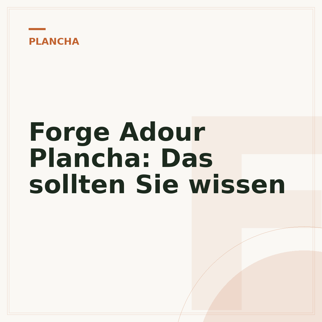 Forge Adour Plancha: Das sollten Sie wissen