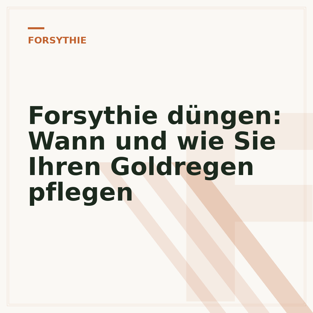 Forsythie düngen: Wann und wie Sie Ihren Goldregen pflegen