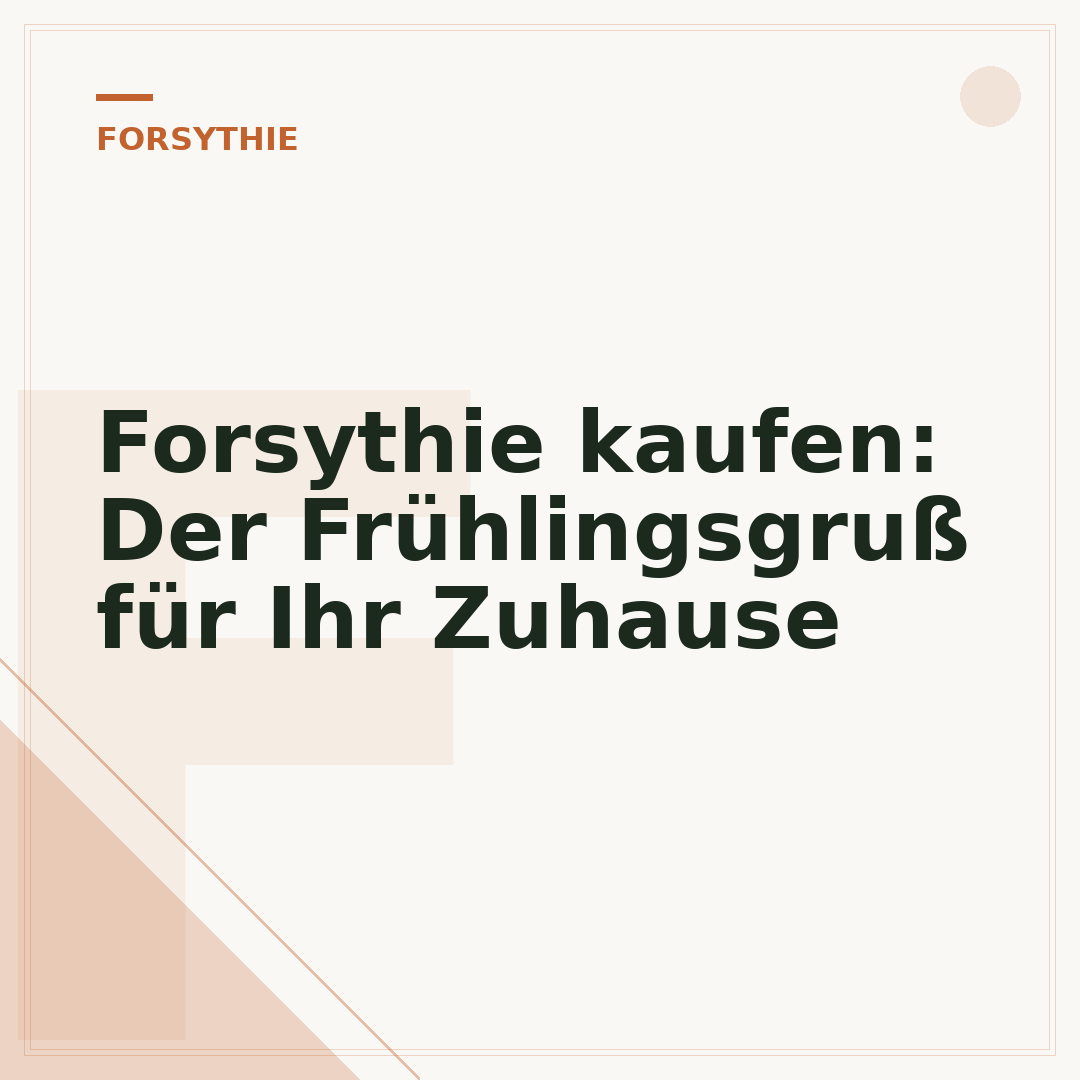 Forsythie kaufen: Der Frühlingsgruß für Ihr Zuhause
