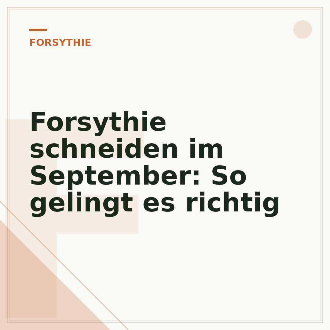 Forsythie schneiden im September: So gelingt es richtig