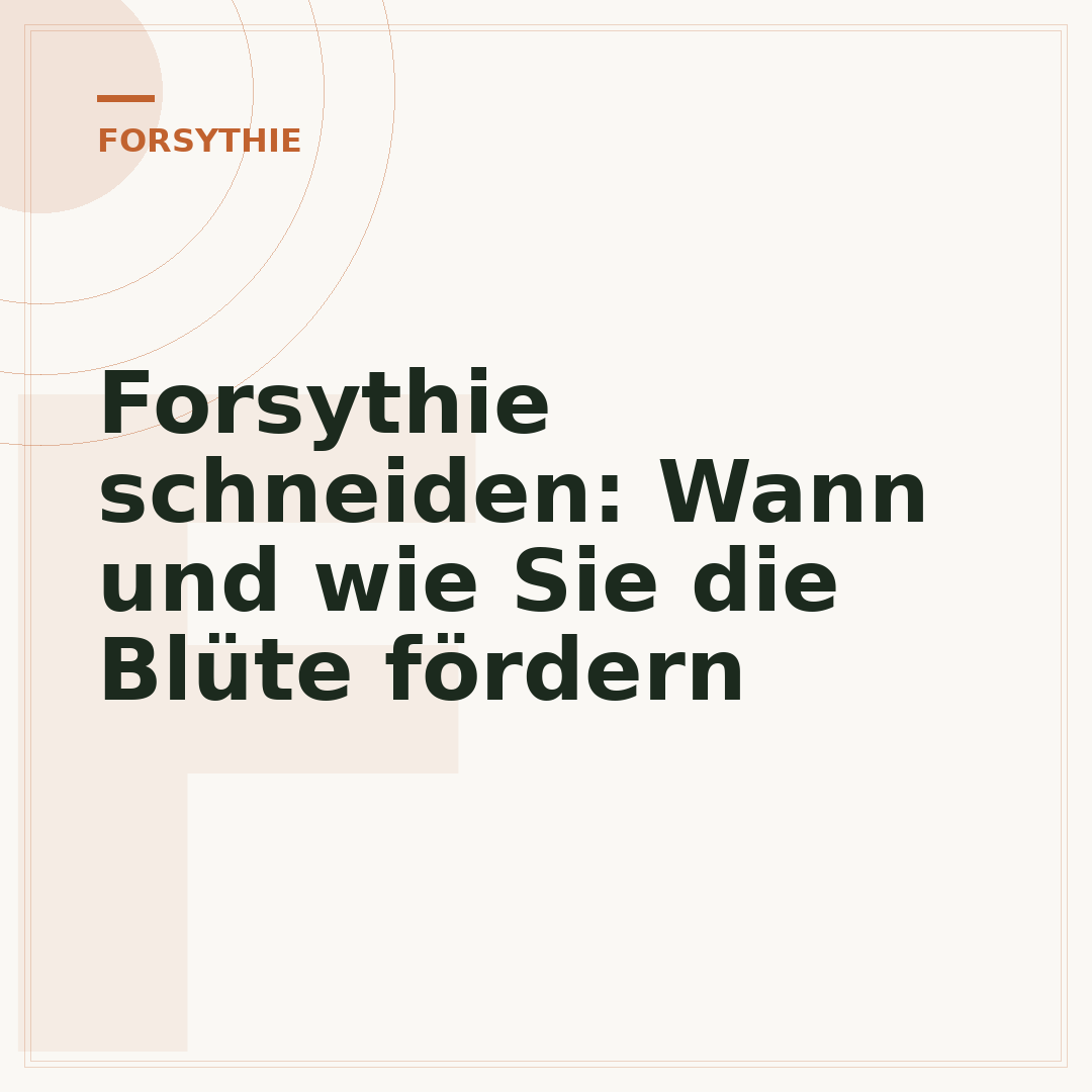 Forsythie schneiden: Wann und wie Sie die Blüte fördern