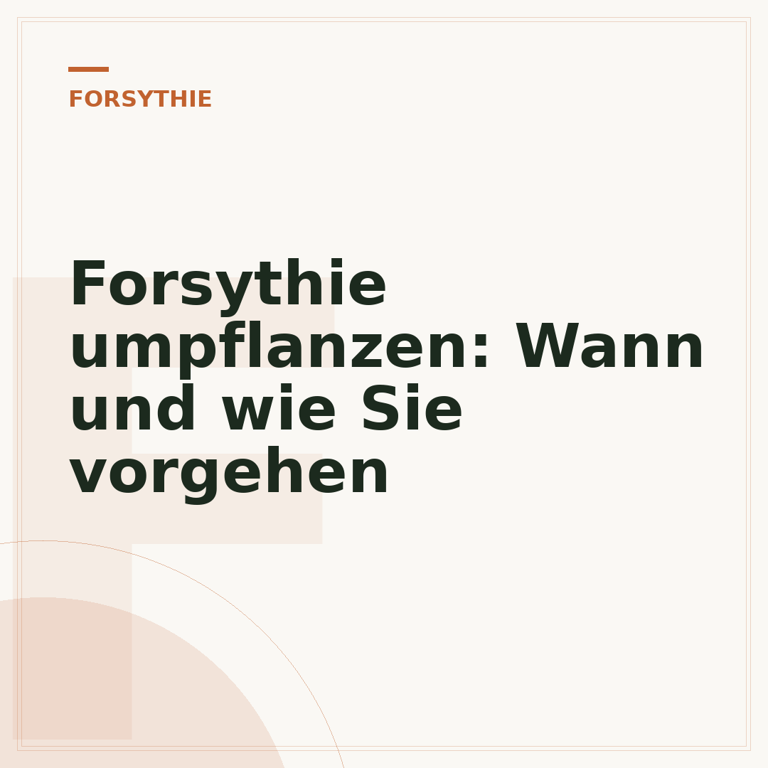 Forsythie umpflanzen: Wann und wie Sie vorgehen