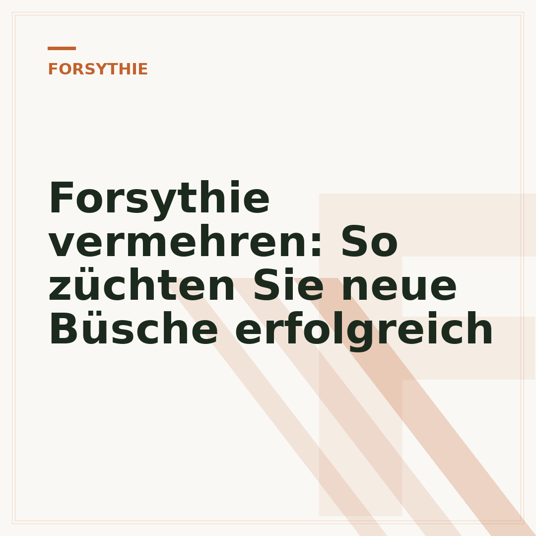 Forsythie vermehren: So züchten Sie neue Büsche erfolgreich