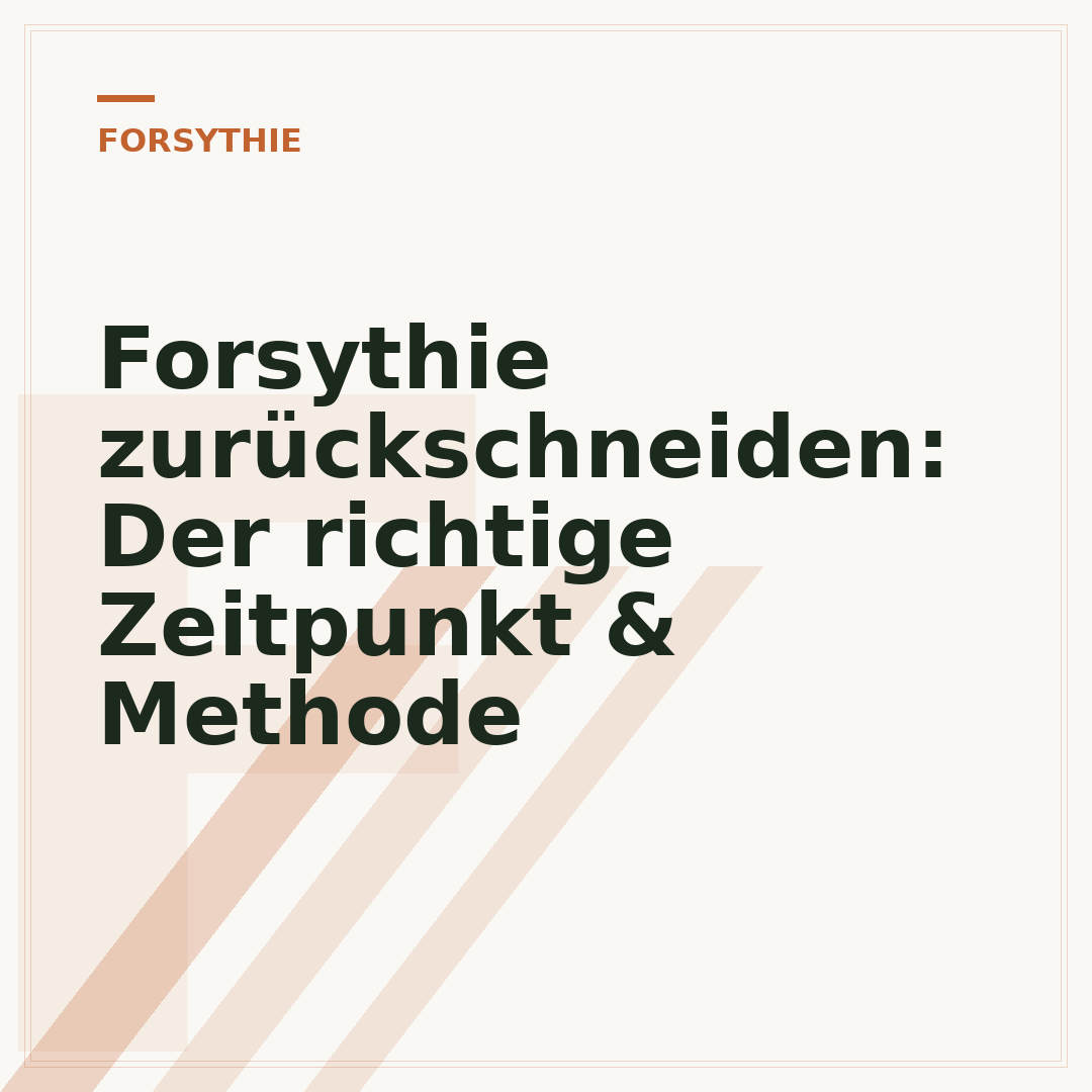 Forsythie zurückschneiden: Der richtige Zeitpunkt & Methode