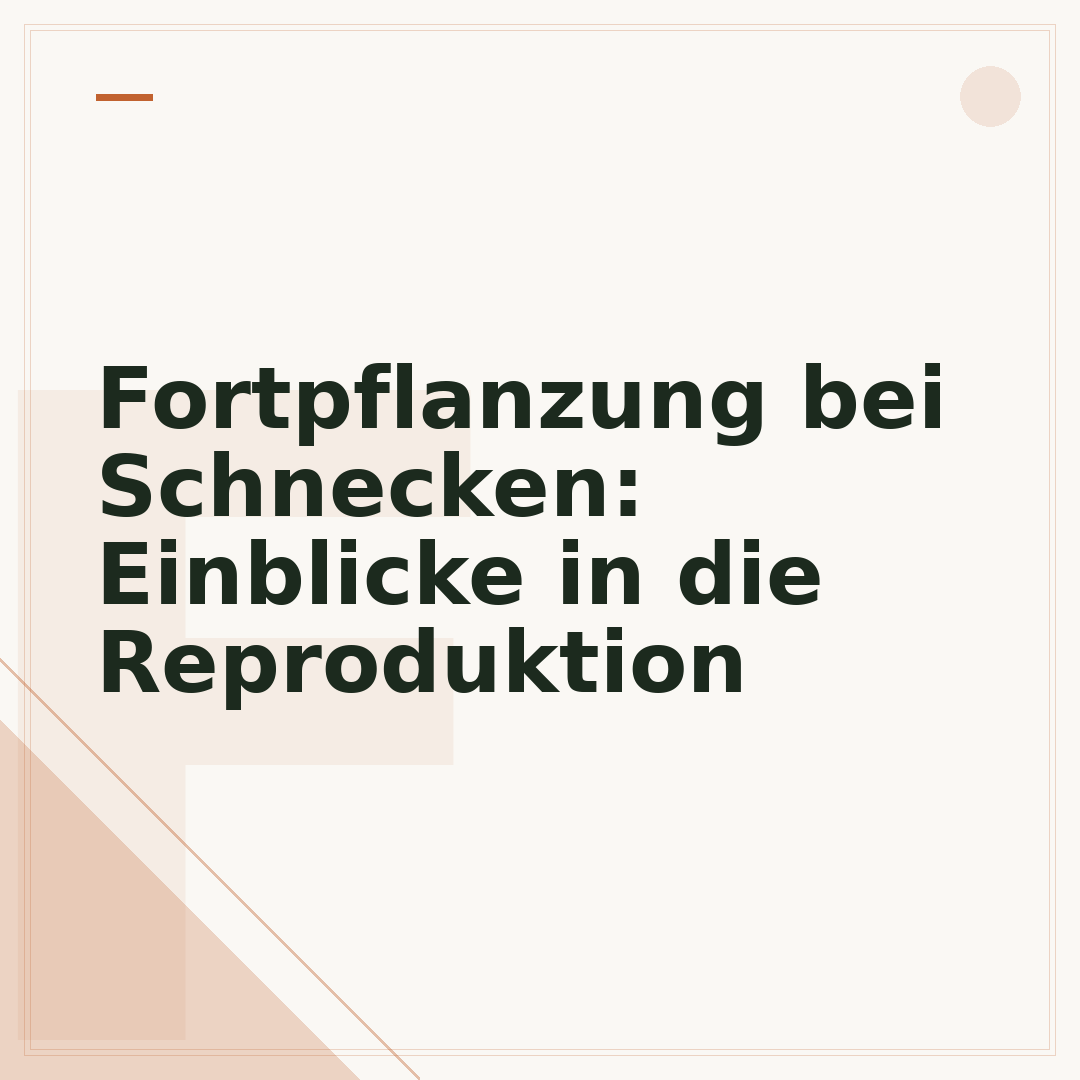Fortpflanzung bei Schnecken: Einblicke in die Reproduktion