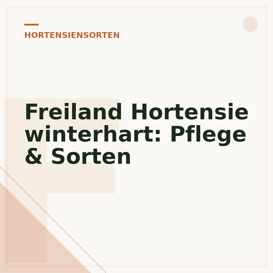Freiland Hortensie winterhart: Pflege & Sorten