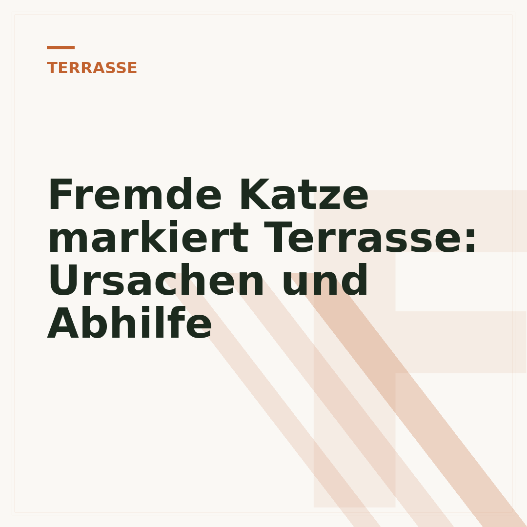 Fremde Katze markiert Terrasse: Ursachen und Abhilfe