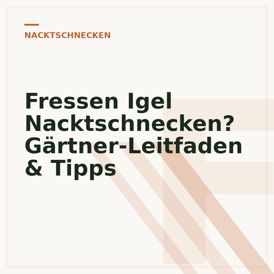 Fressen Igel Nacktschnecken? Gärtner-Leitfaden & Tipps