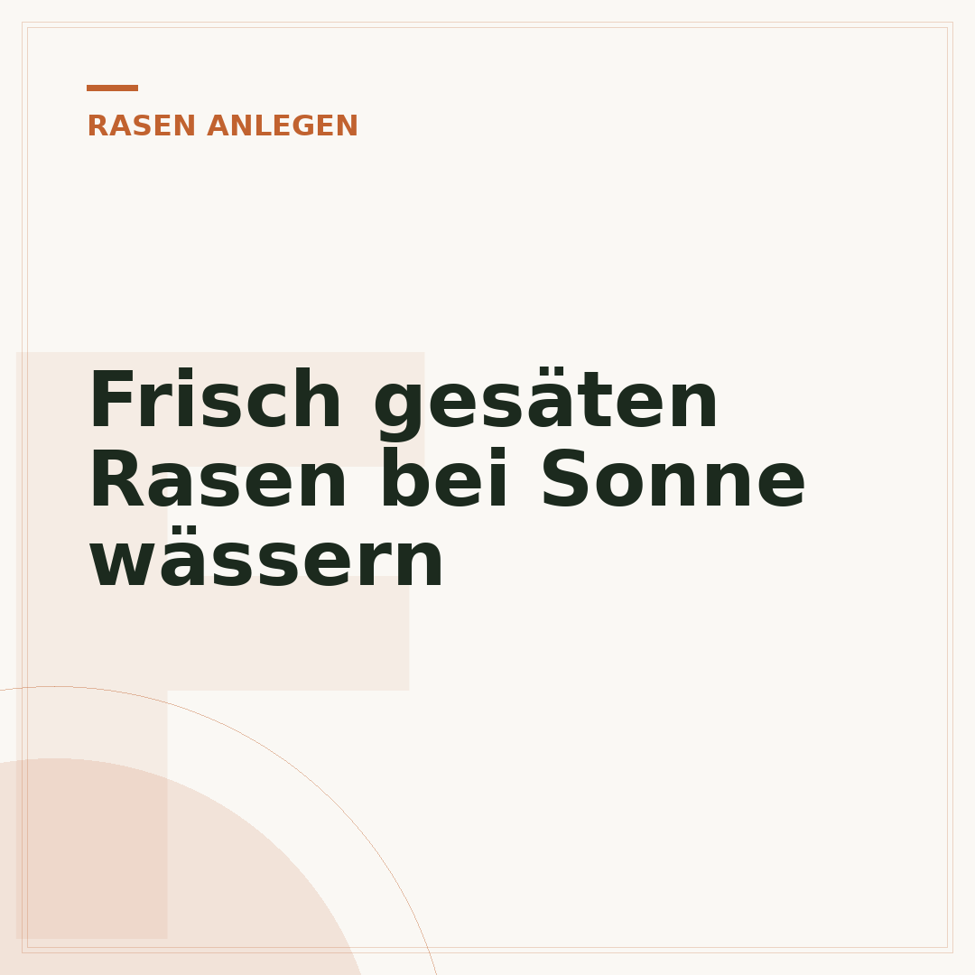 Frisch gesäten Rasen bei Sonne wässern