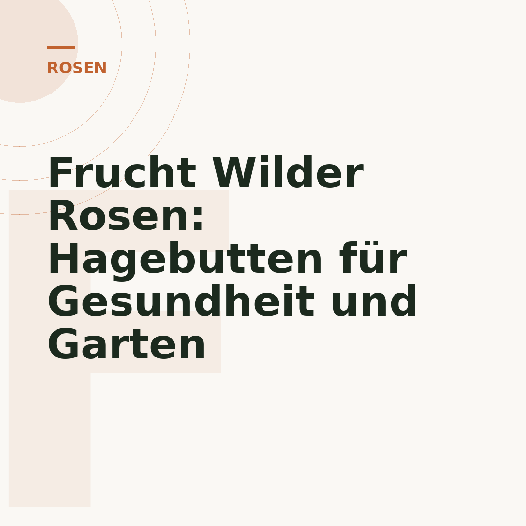 Frucht Wilder Rosen: Hagebutten für Gesundheit und Garten