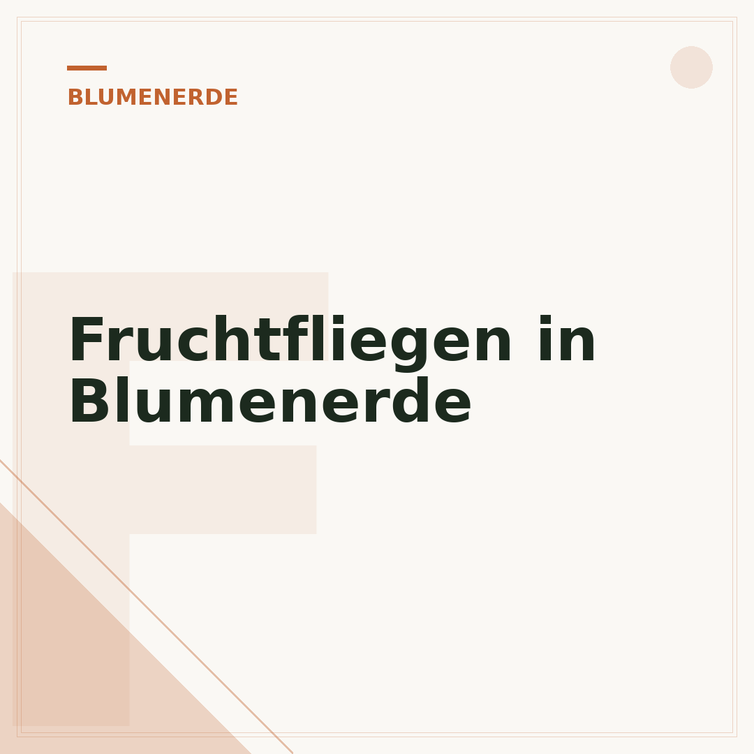 Fruchtfliegen in Blumenerde
