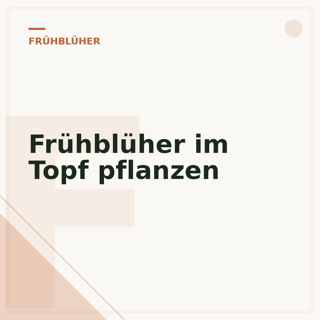 Frühblüher im Topf pflanzen