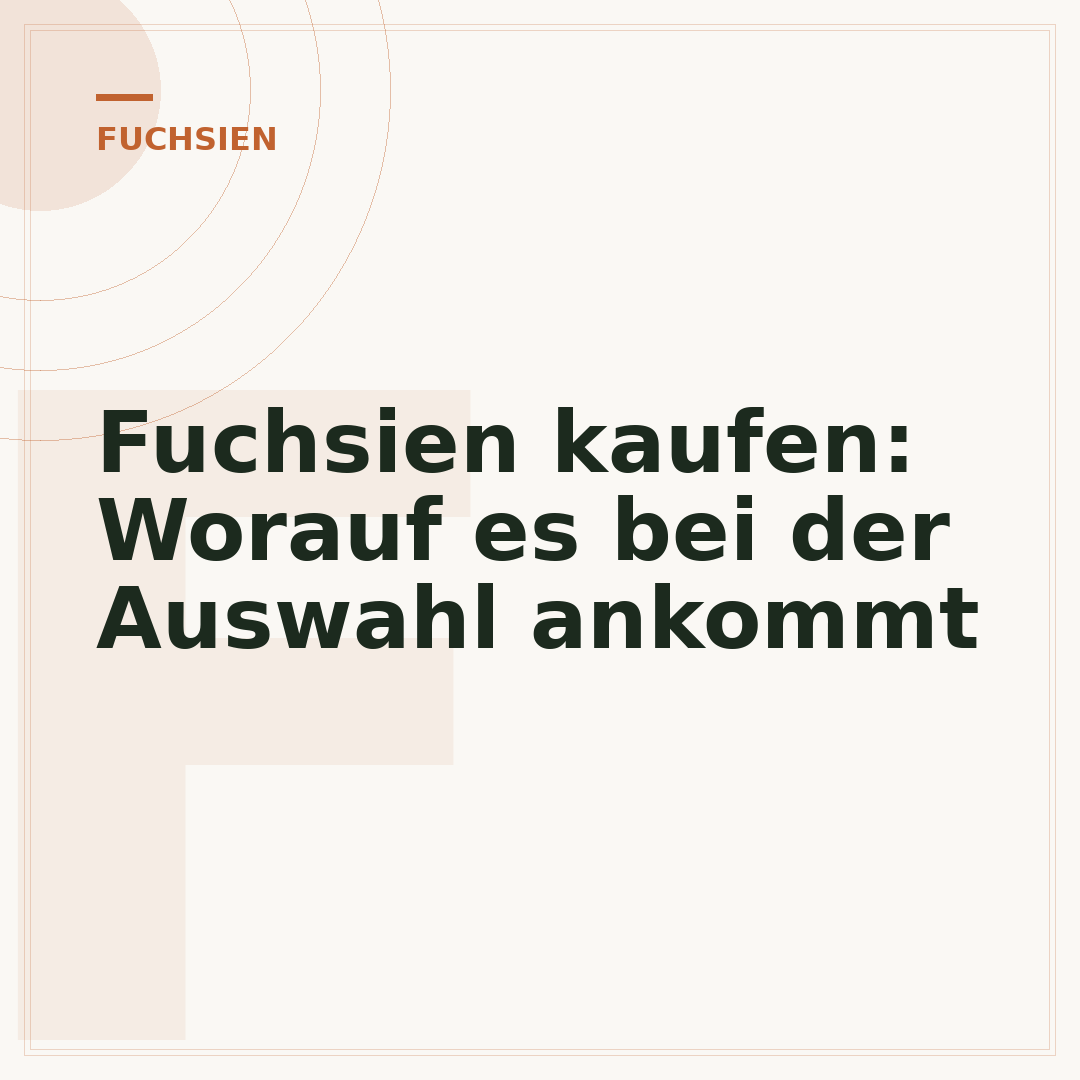 Fuchsien kaufen: Worauf es bei der Auswahl ankommt