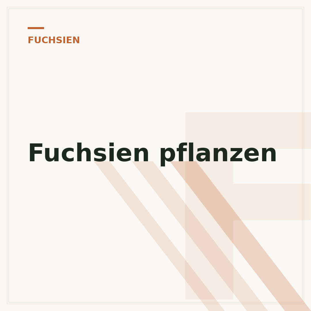 Fuchsien pflanzen