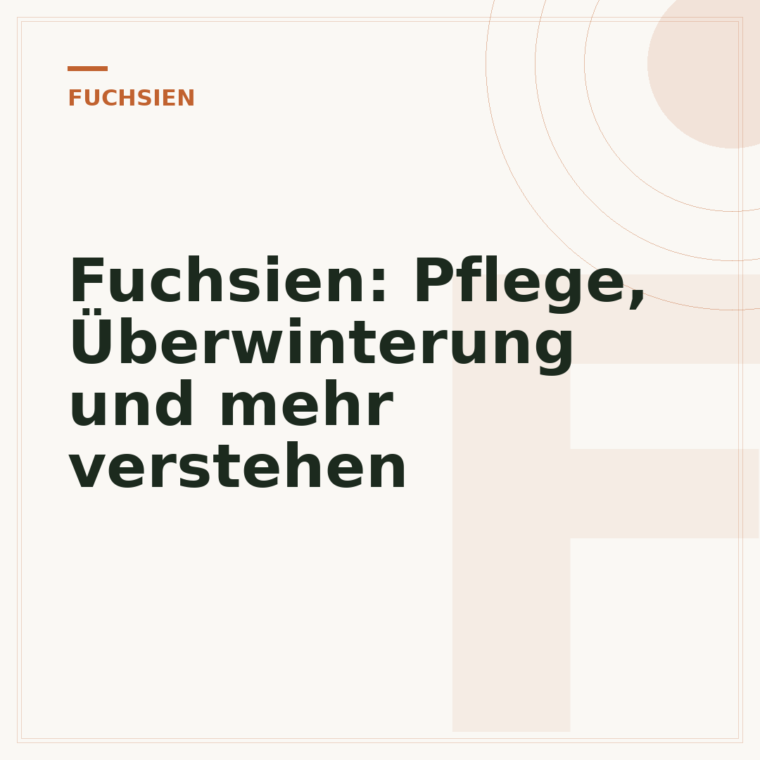 Fuchsien: Pflege, Überwinterung und mehr verstehen