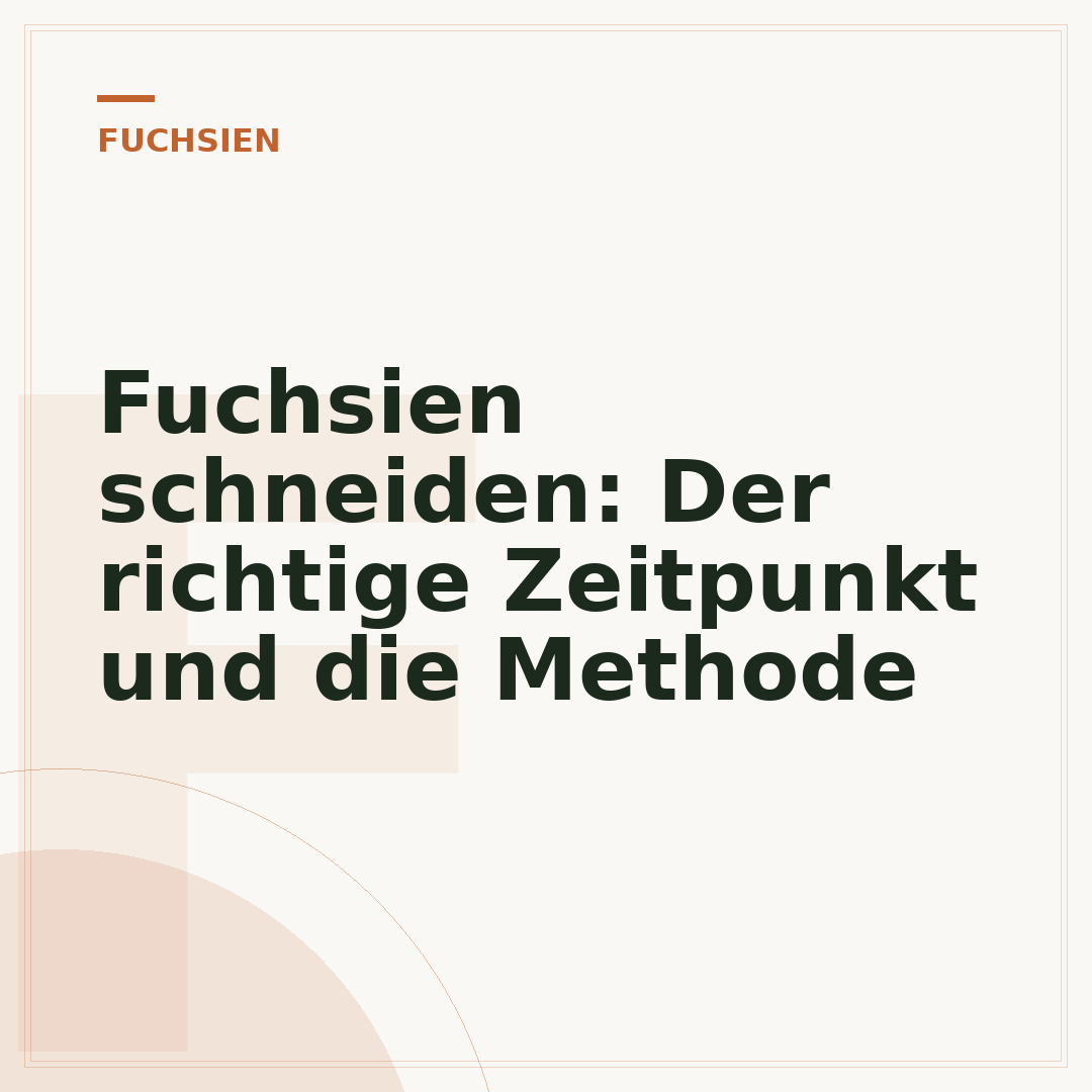 Fuchsien schneiden: Der richtige Zeitpunkt und die Methode