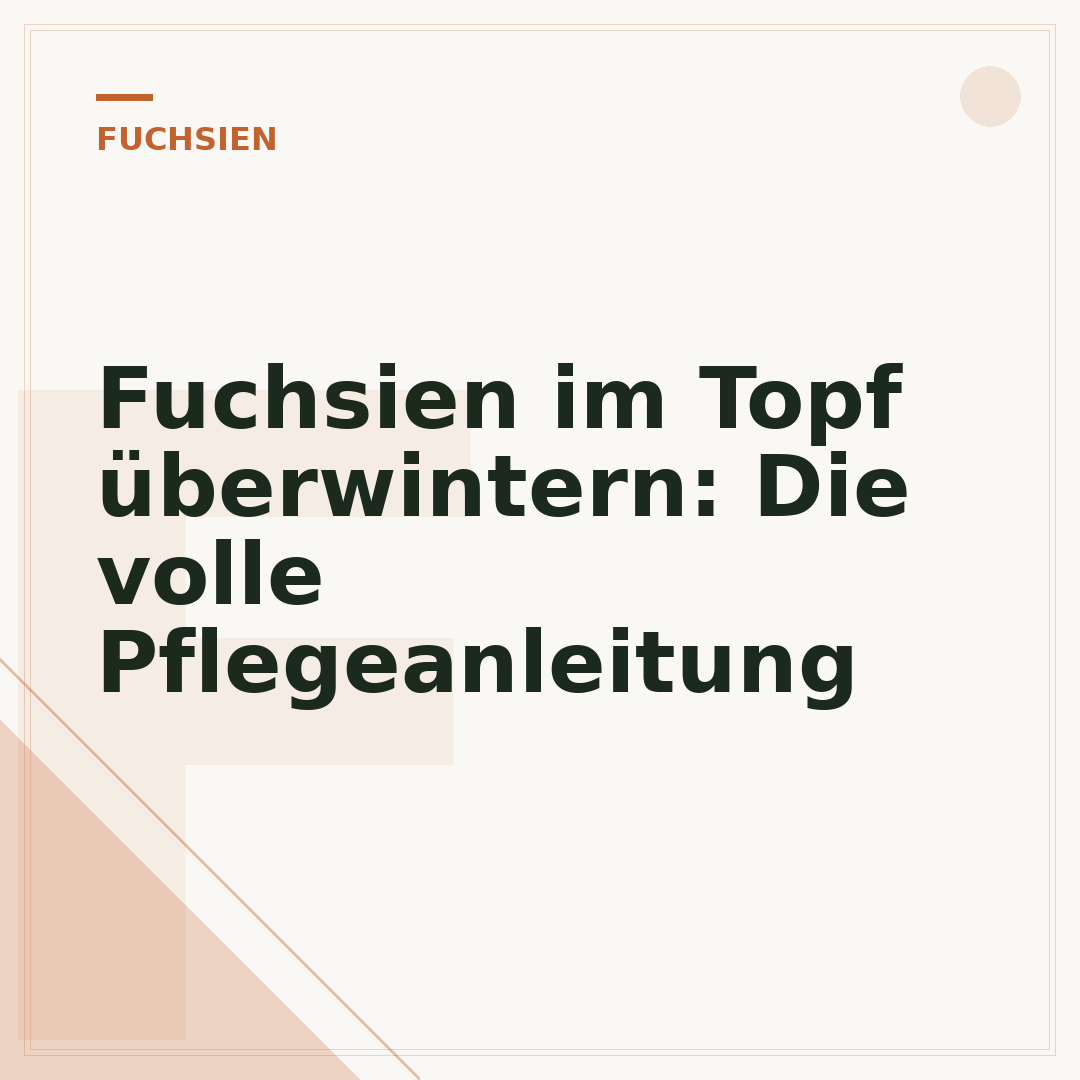 Fuchsien im Topf überwintern: Die volle Pflegeanleitung
