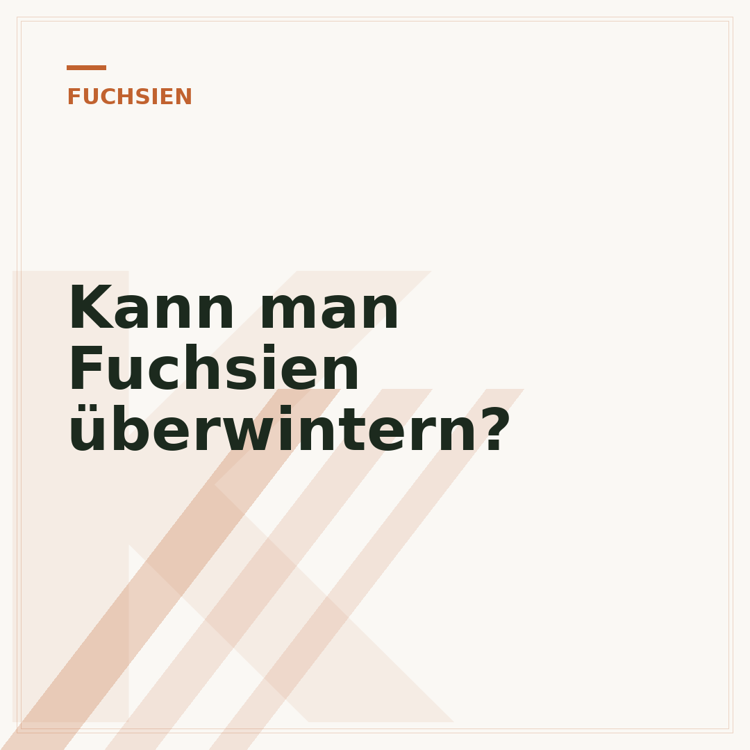 Kann man Fuchsien überwintern?