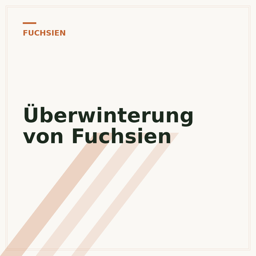 Überwinterung von Fuchsien
