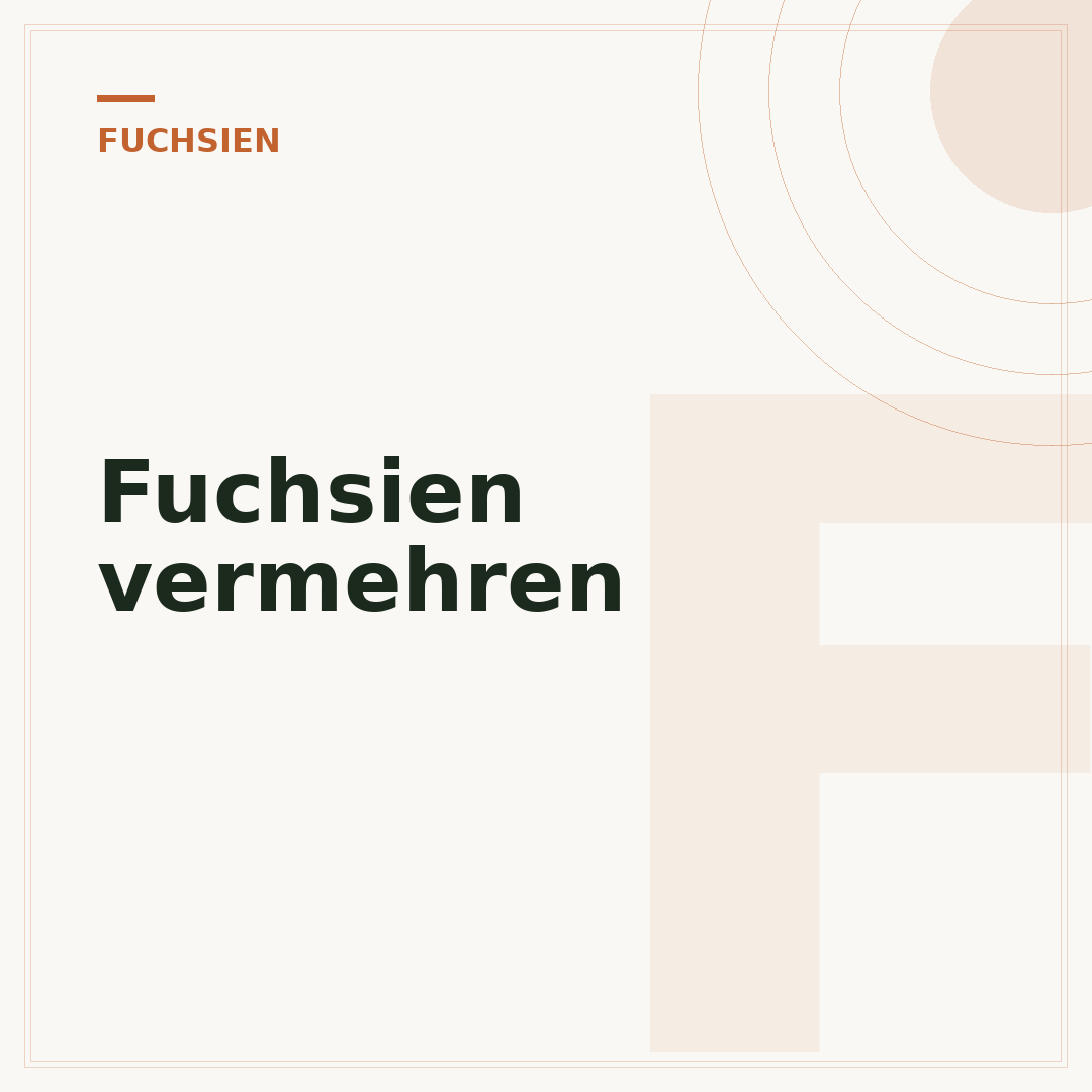 Fuchsien vermehren