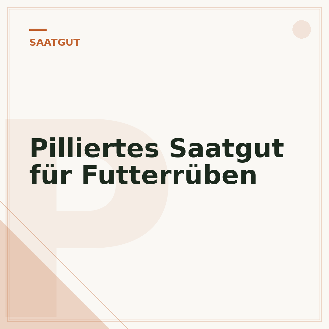 Pilliertes Saatgut für Futterrüben