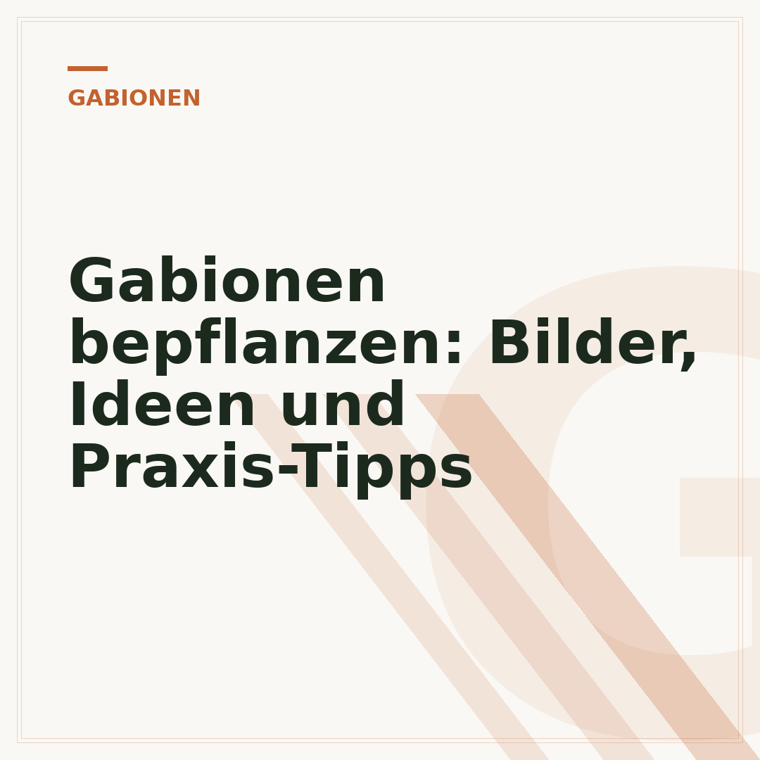 Gabionen bepflanzen: Bilder, Ideen und Praxis-Tipps
