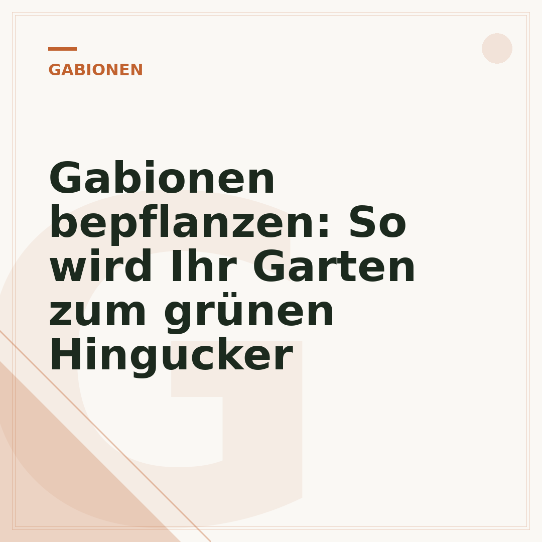 Gabionen bepflanzen: So wird Ihr Garten zum grünen Hingucker