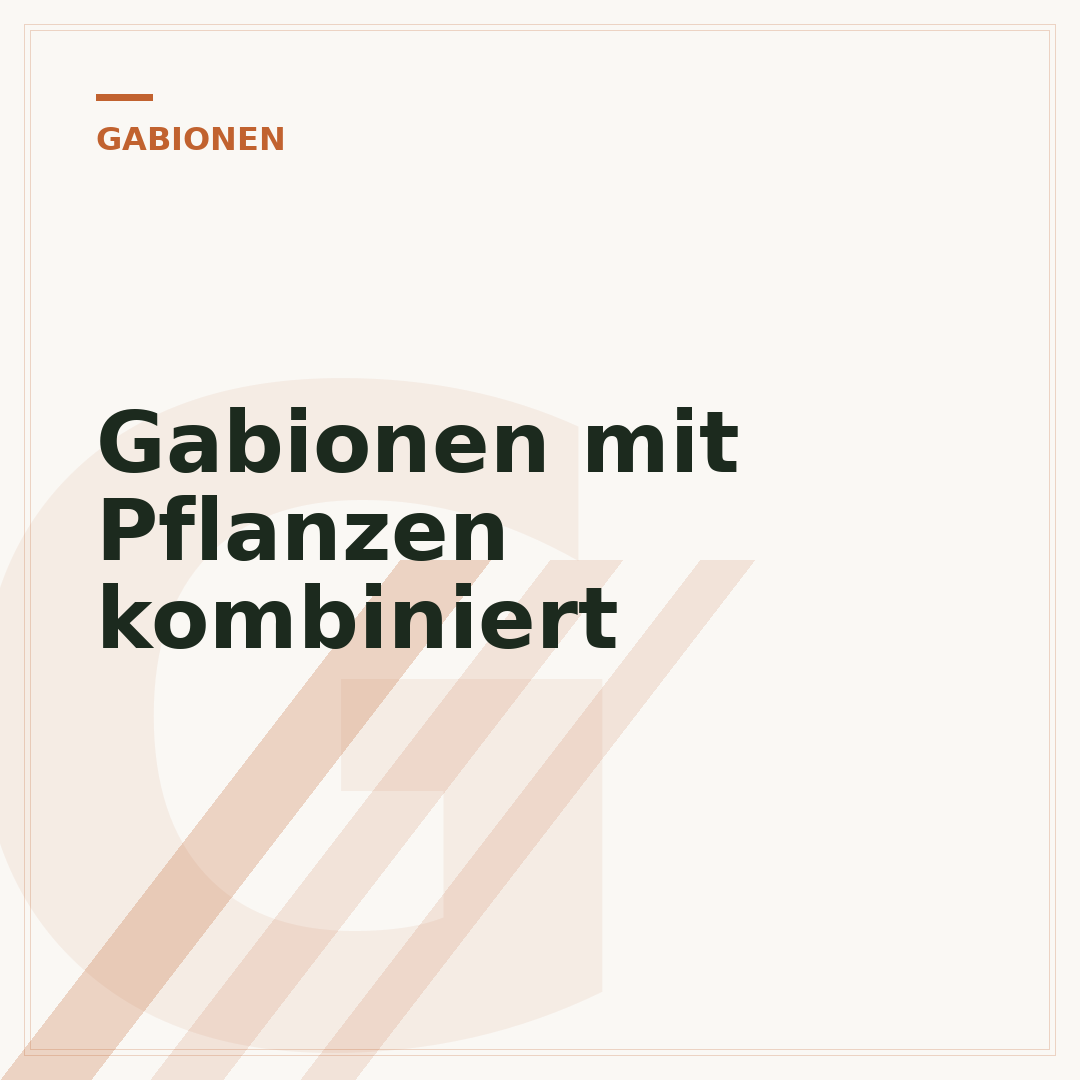 Gabionen mit Pflanzen kombiniert
