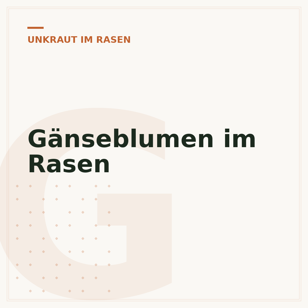 Gänseblumen im Rasen