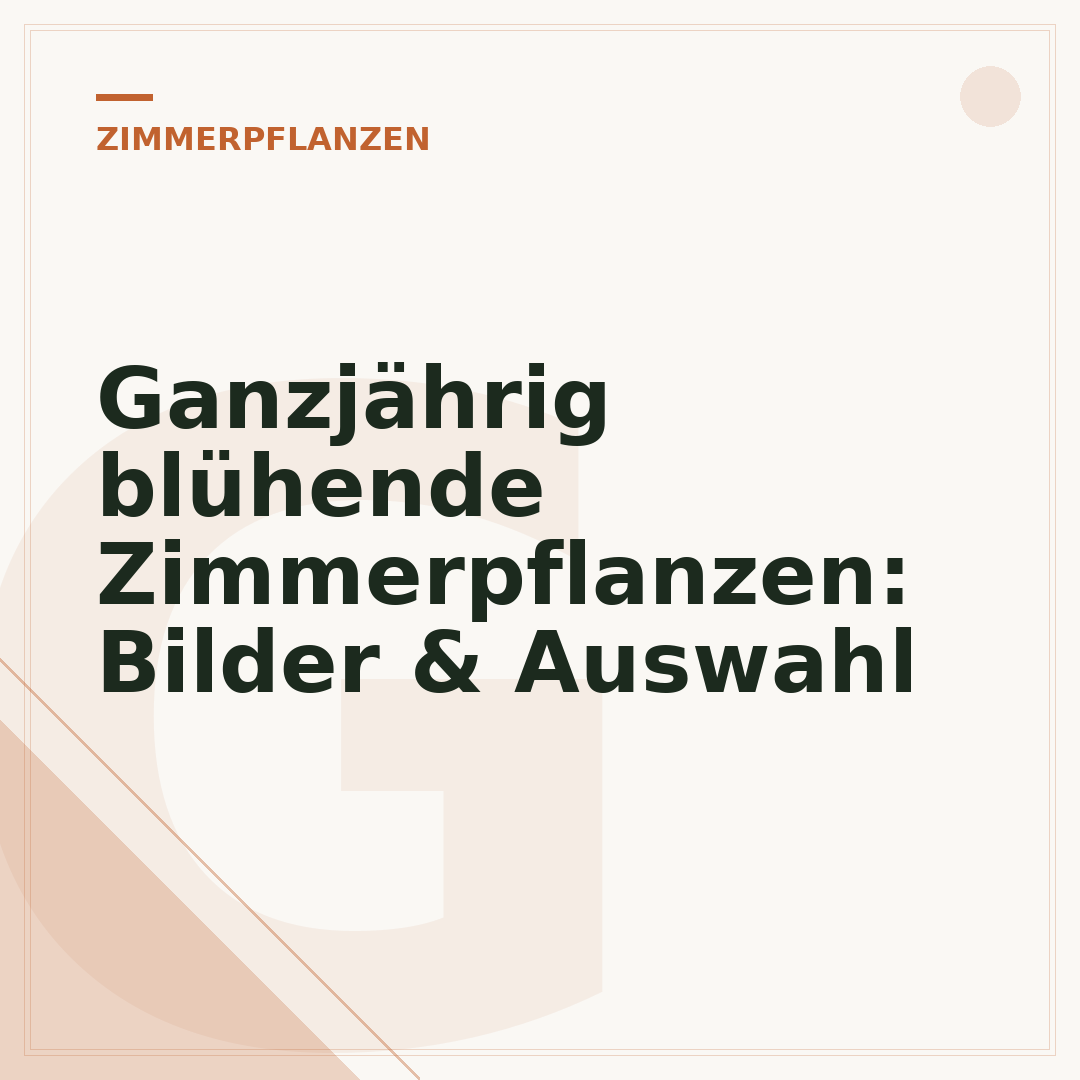 Ganzjährig blühende Zimmerpflanzen: Bilder & Auswahl