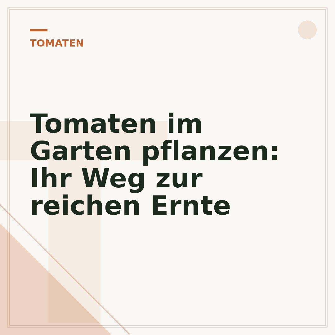 Tomaten im Garten pflanzen: Ihr Weg zur reichen Ernte