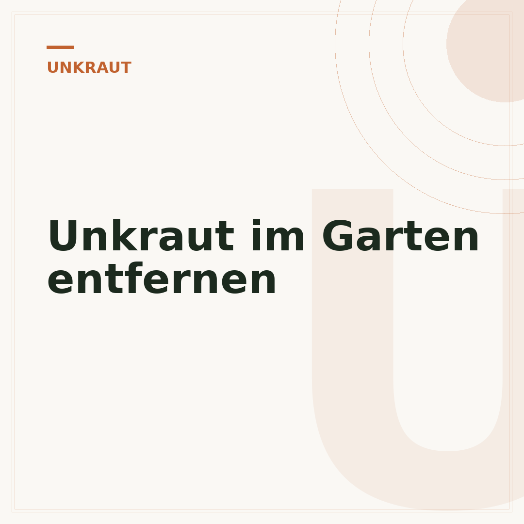 Unkraut im Garten entfernen