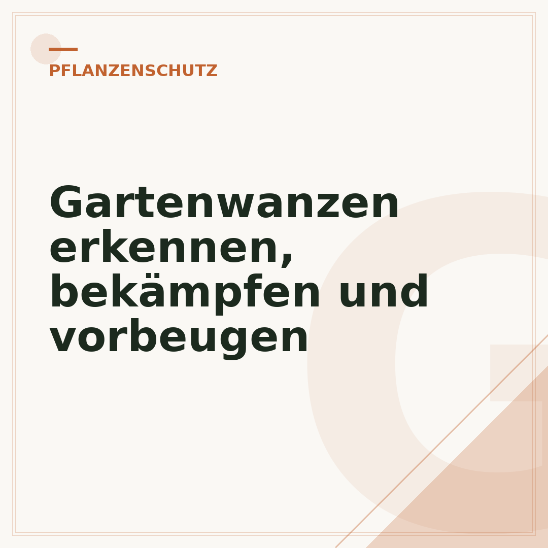 Gartenwanzen erkennen, bekämpfen und vorbeugen