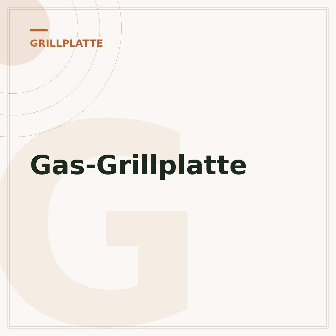 Gas-Grillplatte