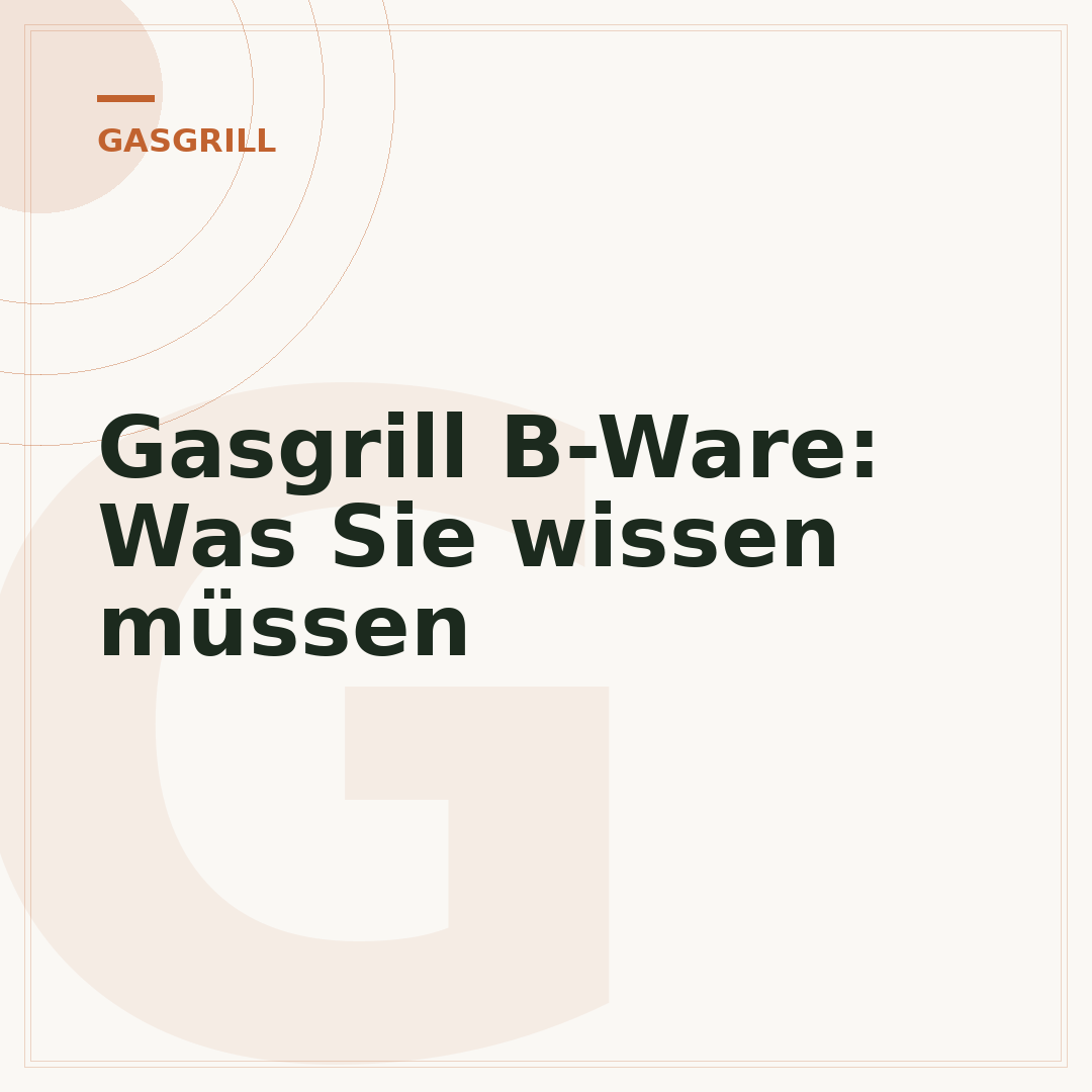 Gasgrill B-Ware: Was Sie wissen müssen