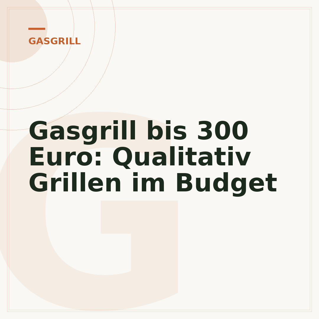 Gasgrill bis 300 Euro: Qualitativ Grillen im Budget