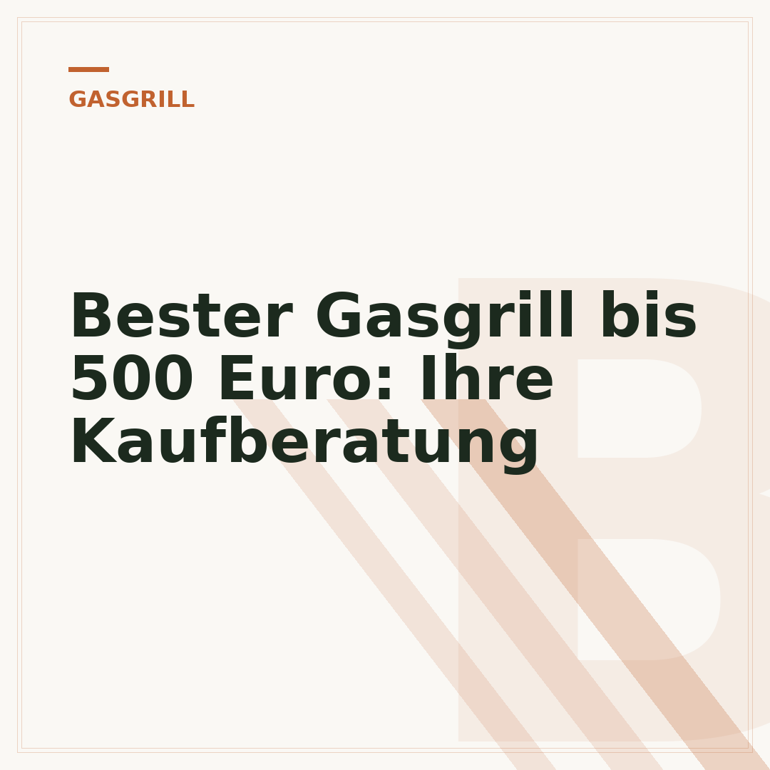 Bester Gasgrill bis 500 Euro: Ihre Kaufberatung