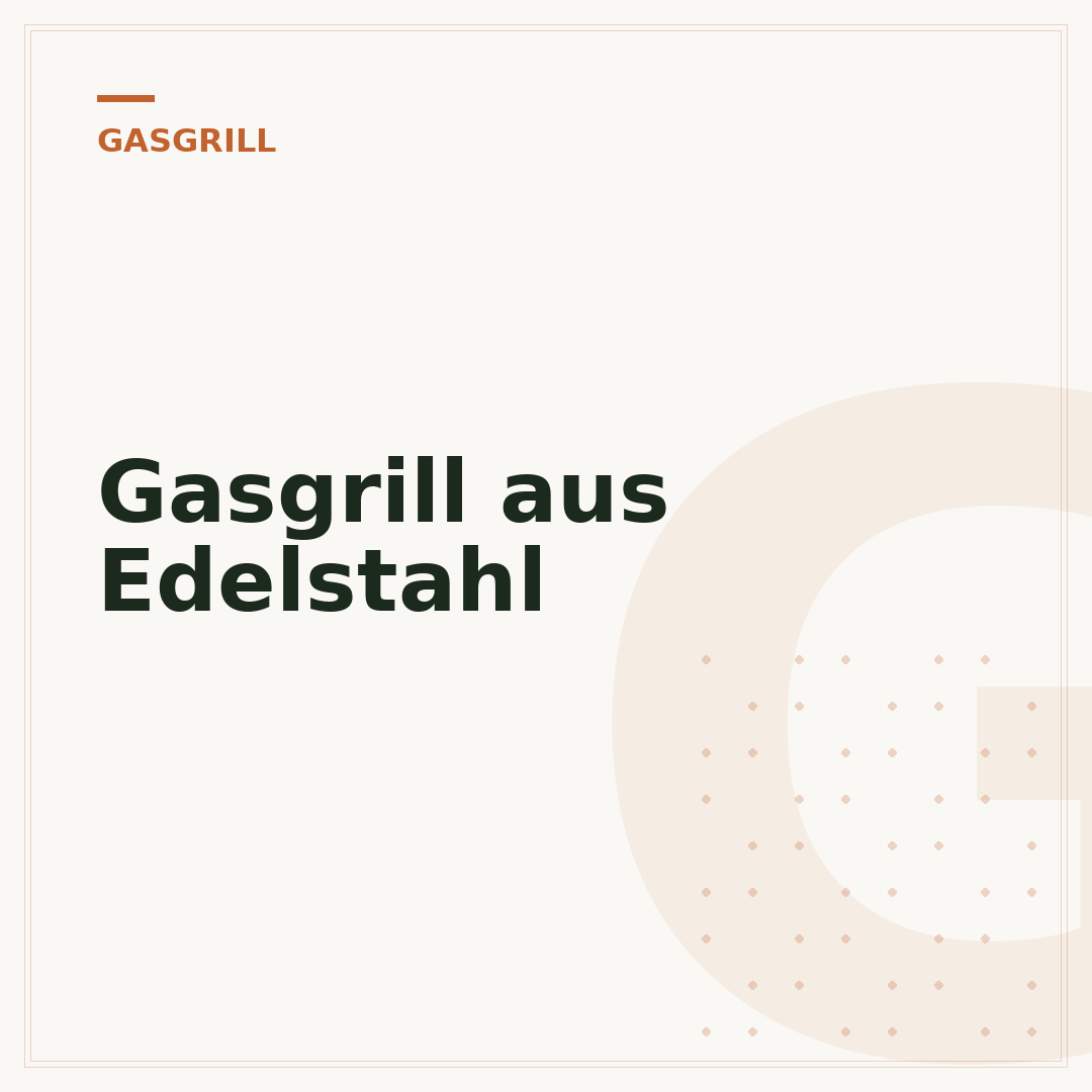 Gasgrill aus Edelstahl