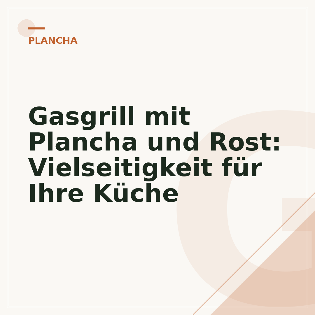 Gasgrill mit Plancha und Rost: Vielseitigkeit für Ihre Küche
