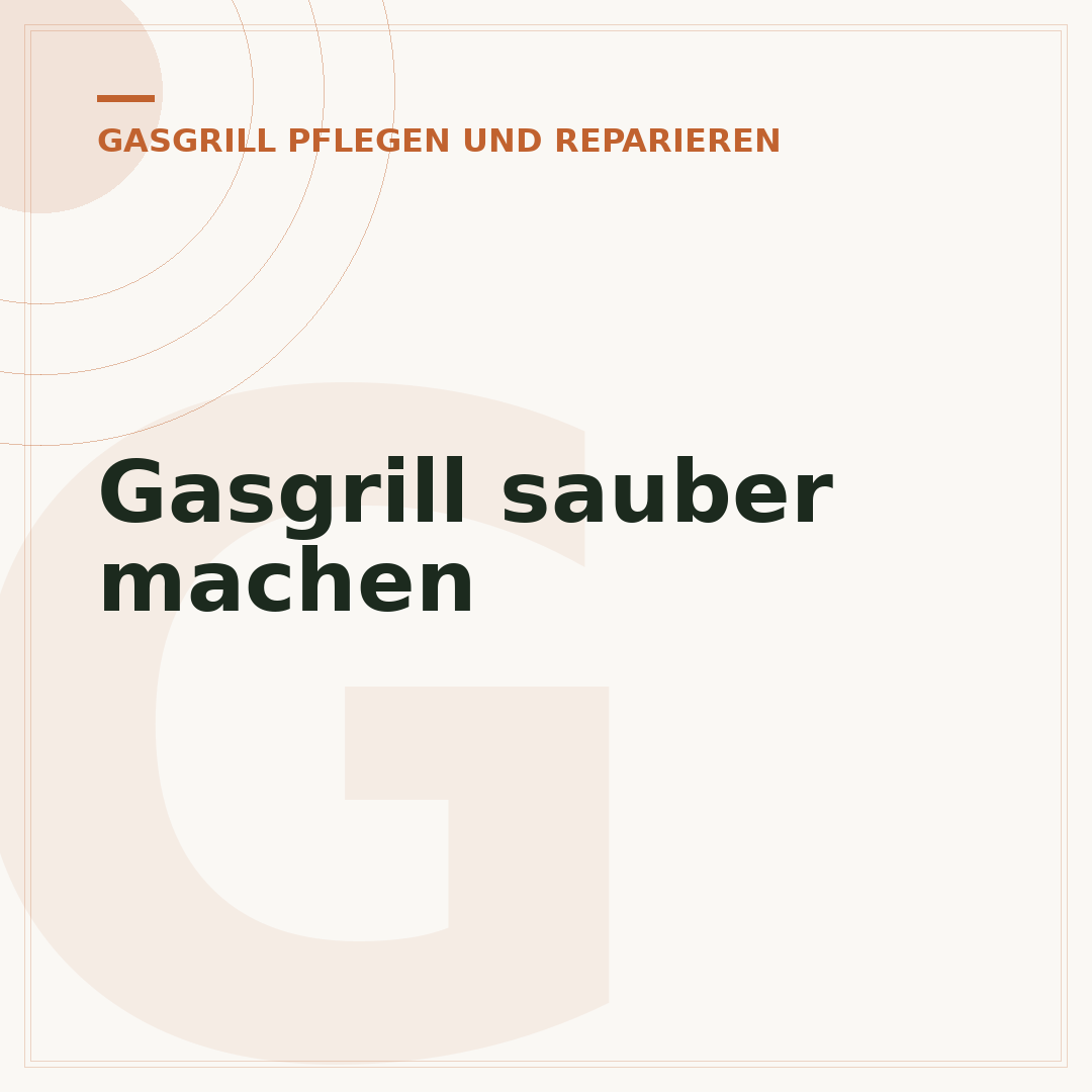 Gasgrill sauber machen