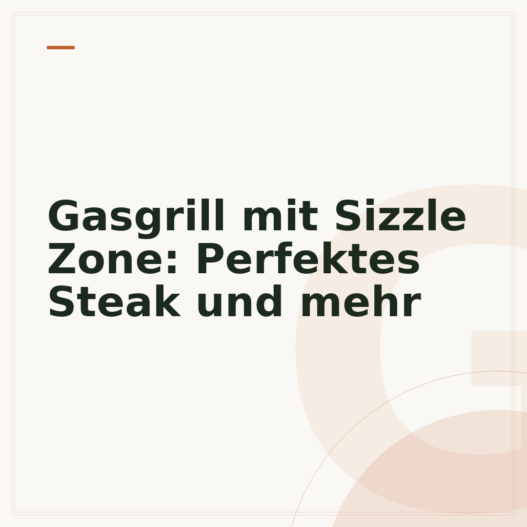 Gasgrill mit Sizzle Zone: Perfektes Steak und mehr
