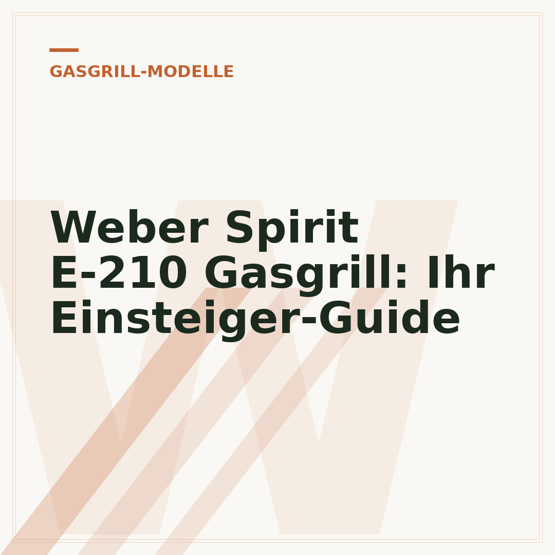 Weber Spirit E-210 Gasgrill: Ihr Einsteiger-Guide
