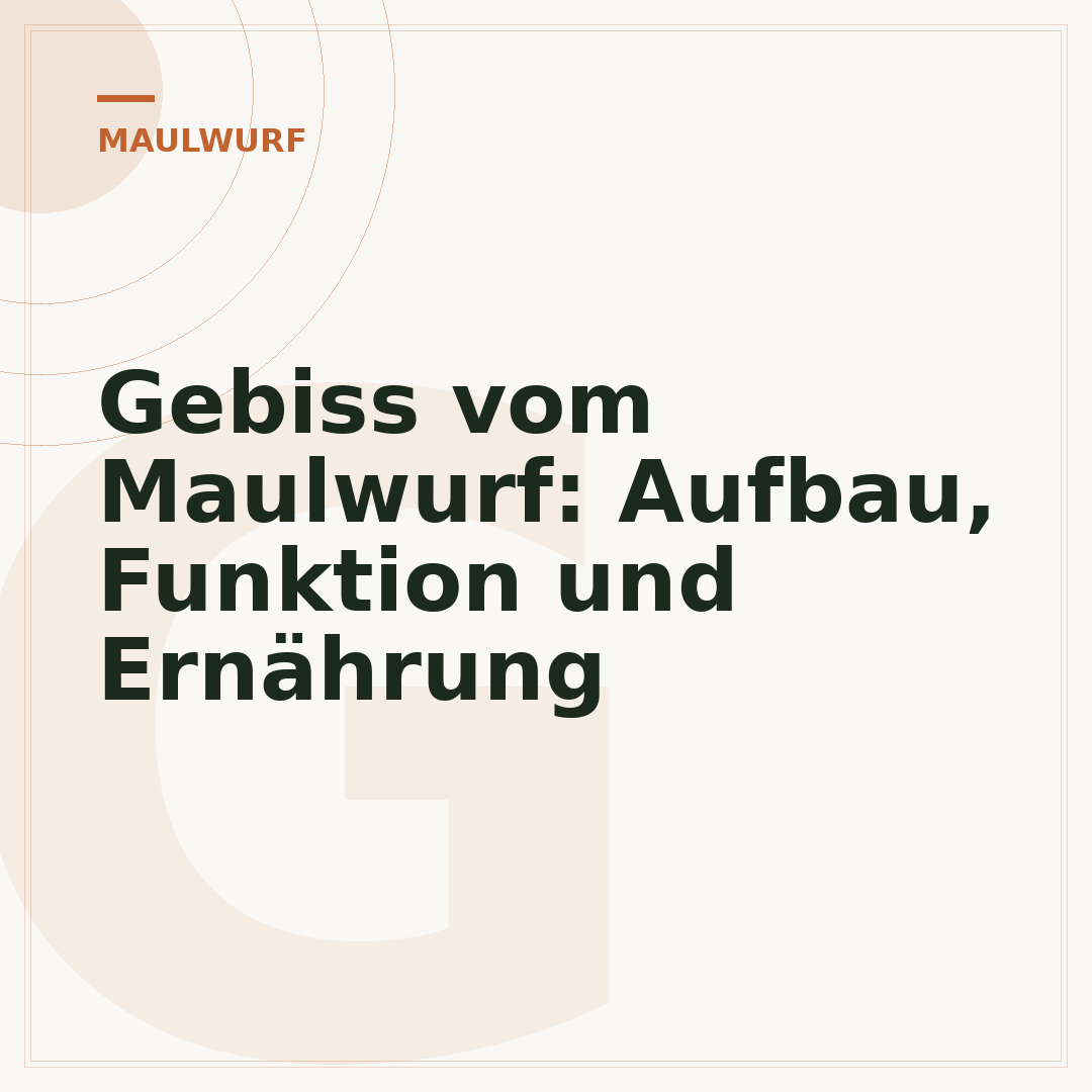 Gebiss vom Maulwurf: Aufbau, Funktion und Ernährung