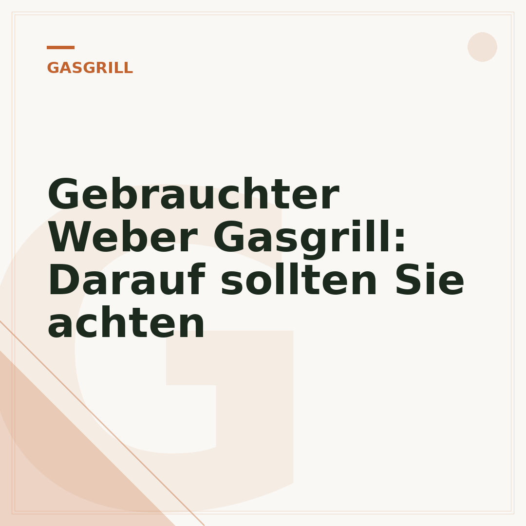 Gebrauchter Weber Gasgrill: Darauf sollten Sie achten