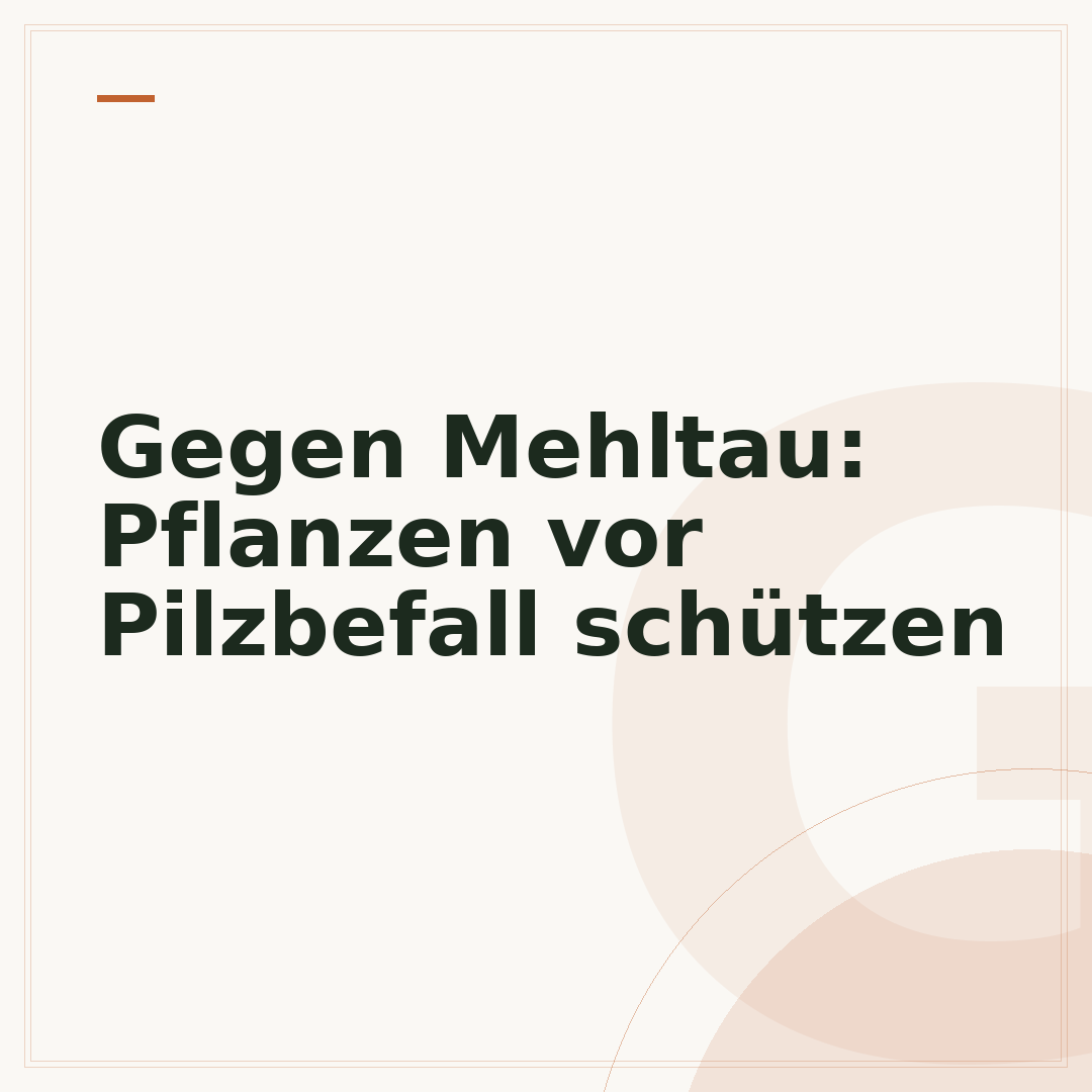 Gegen Mehltau: Pflanzen vor Pilzbefall schützen