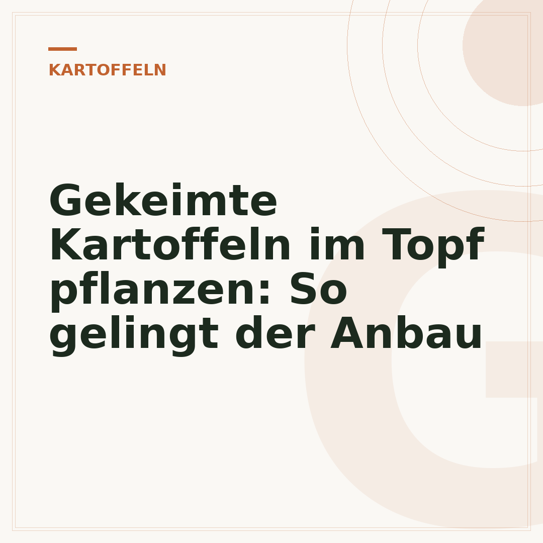 Gekeimte Kartoffeln im Topf pflanzen: So gelingt der Anbau