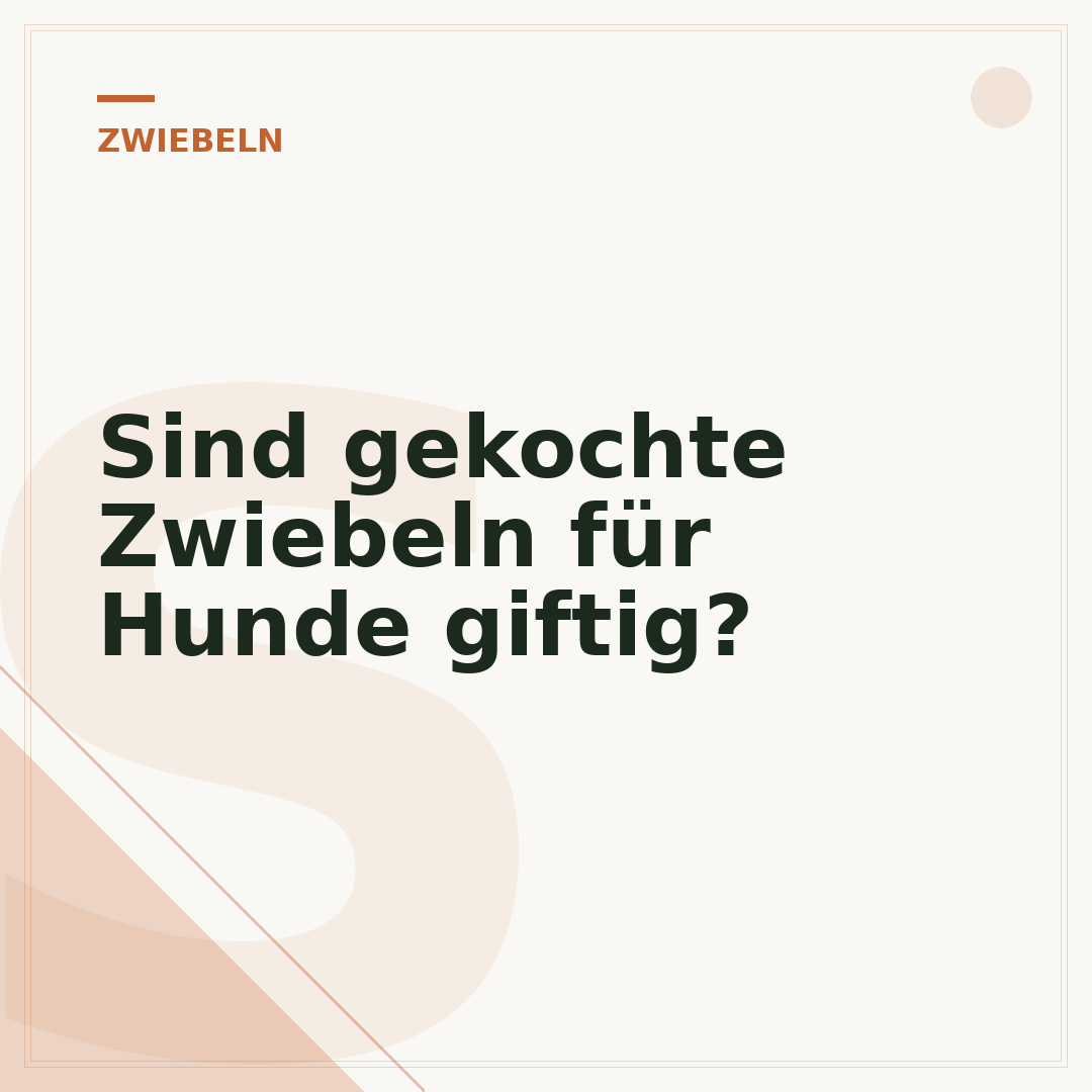 Sind gekochte Zwiebeln für Hunde giftig?