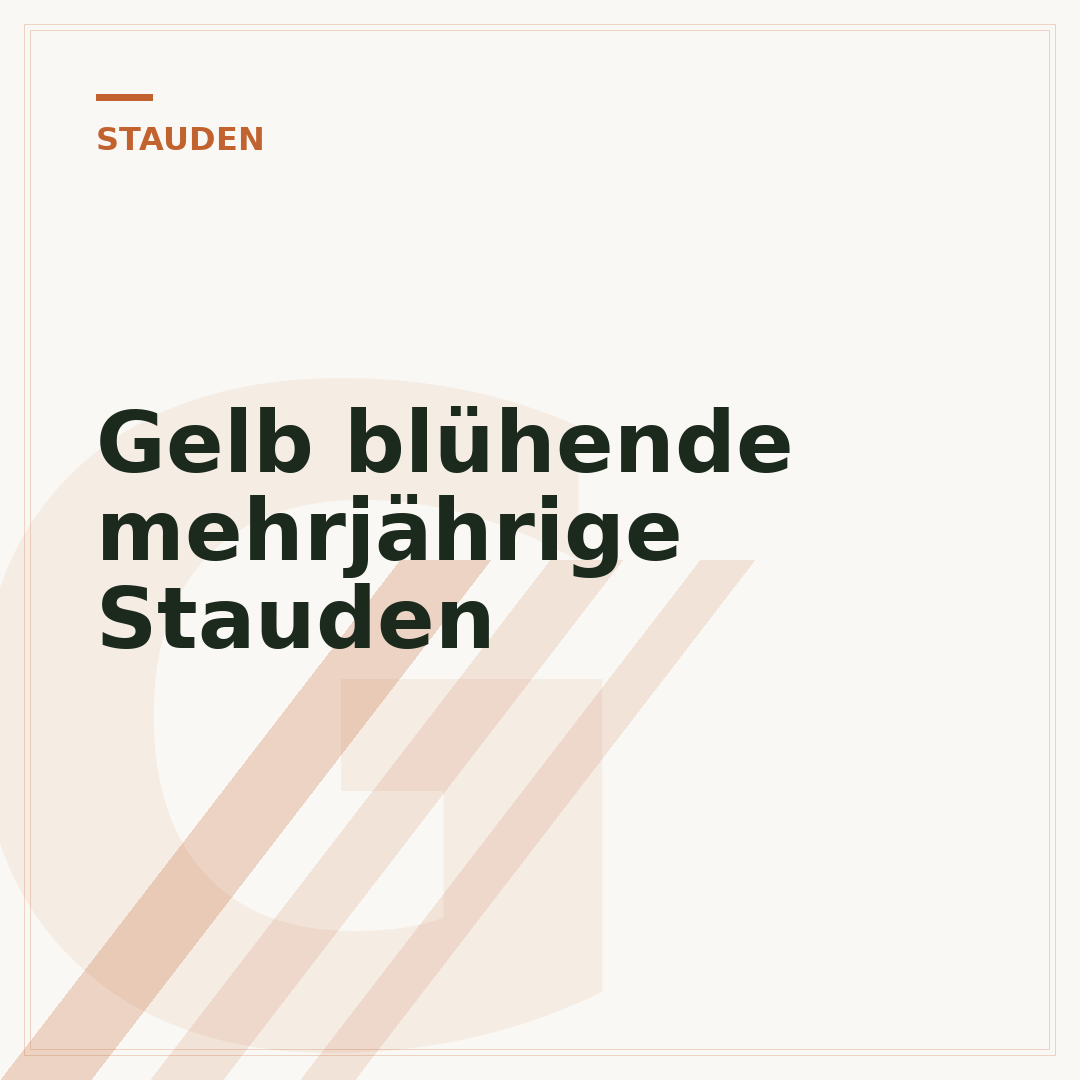 Gelb blühende mehrjährige Stauden