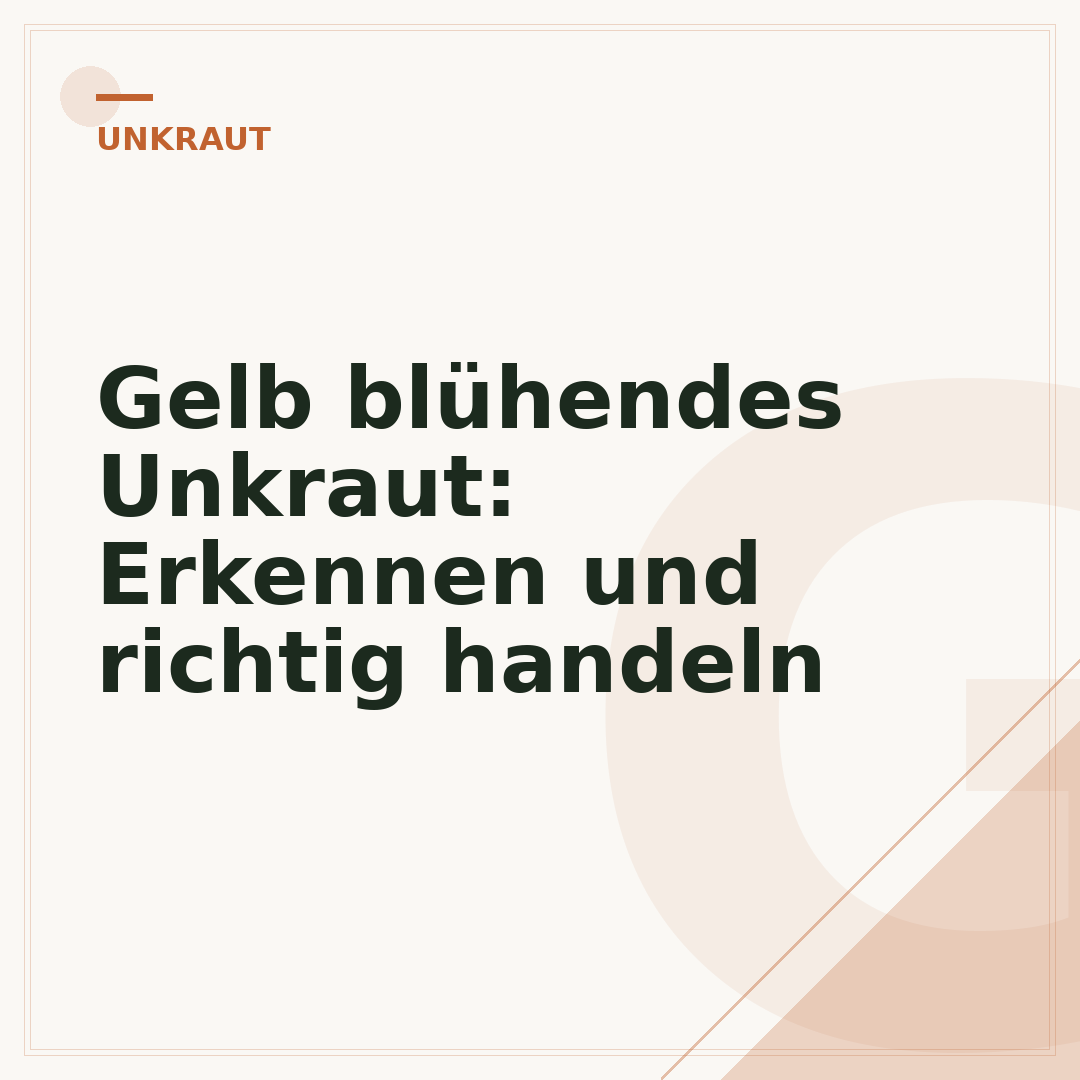 Gelb blühendes Unkraut: Erkennen und richtig handeln